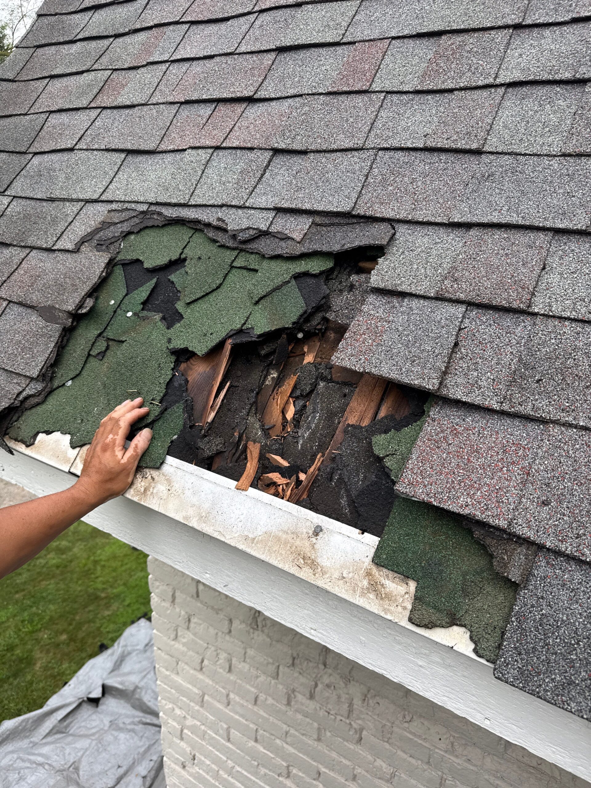 Roof decking inspection revealing damage in Dansville Michigan